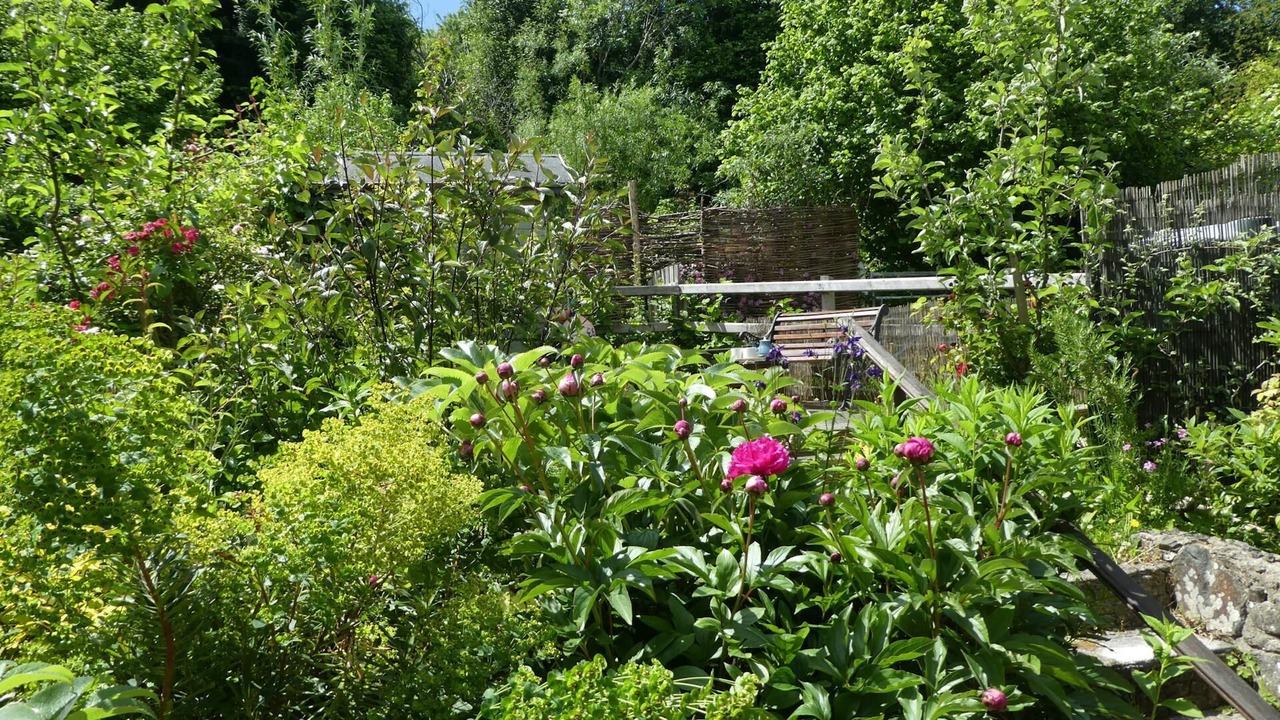 Photo of Outdoor in St Dogmaels