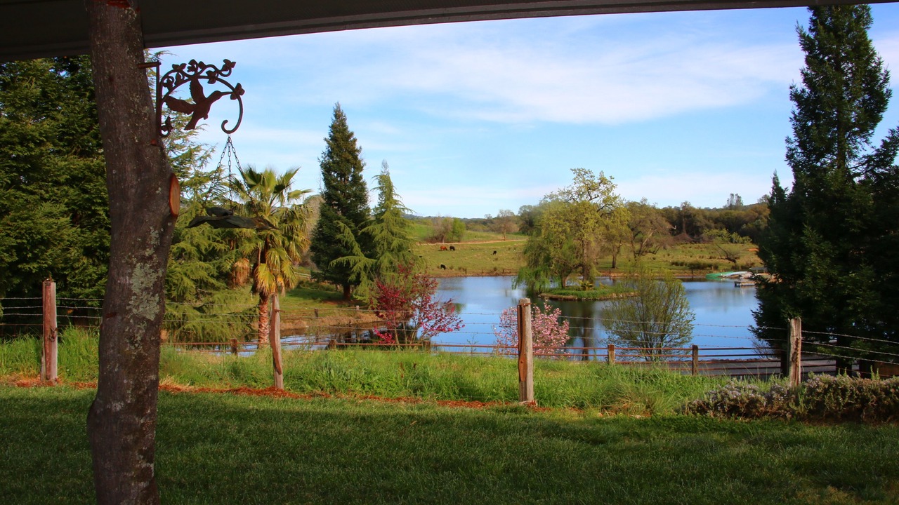 Photo of Outdoor in Newcastle