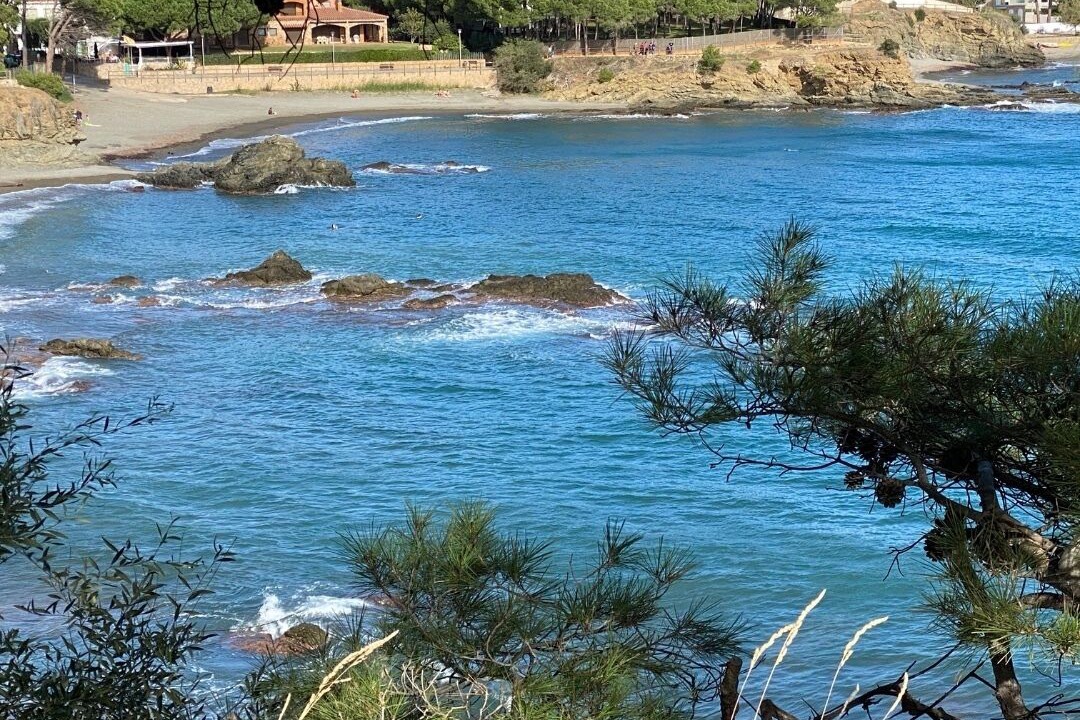 Photo of Others in Llanca
