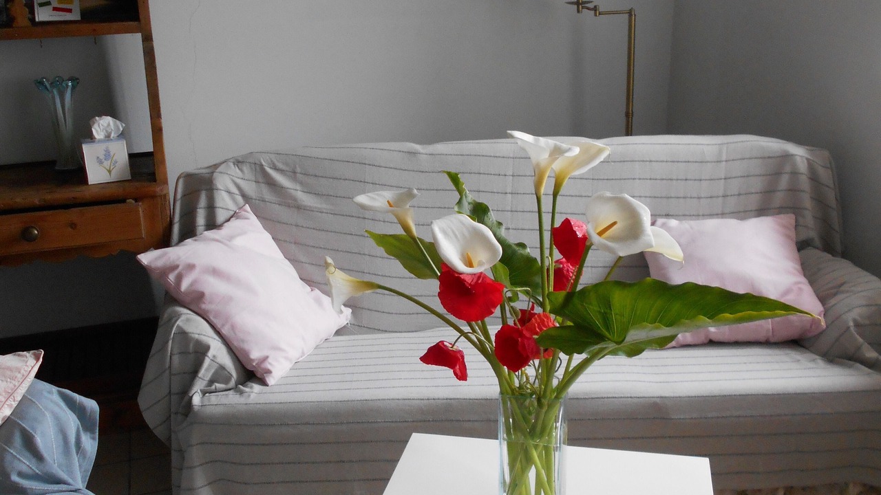 Photo of Livingroom in Le Vast