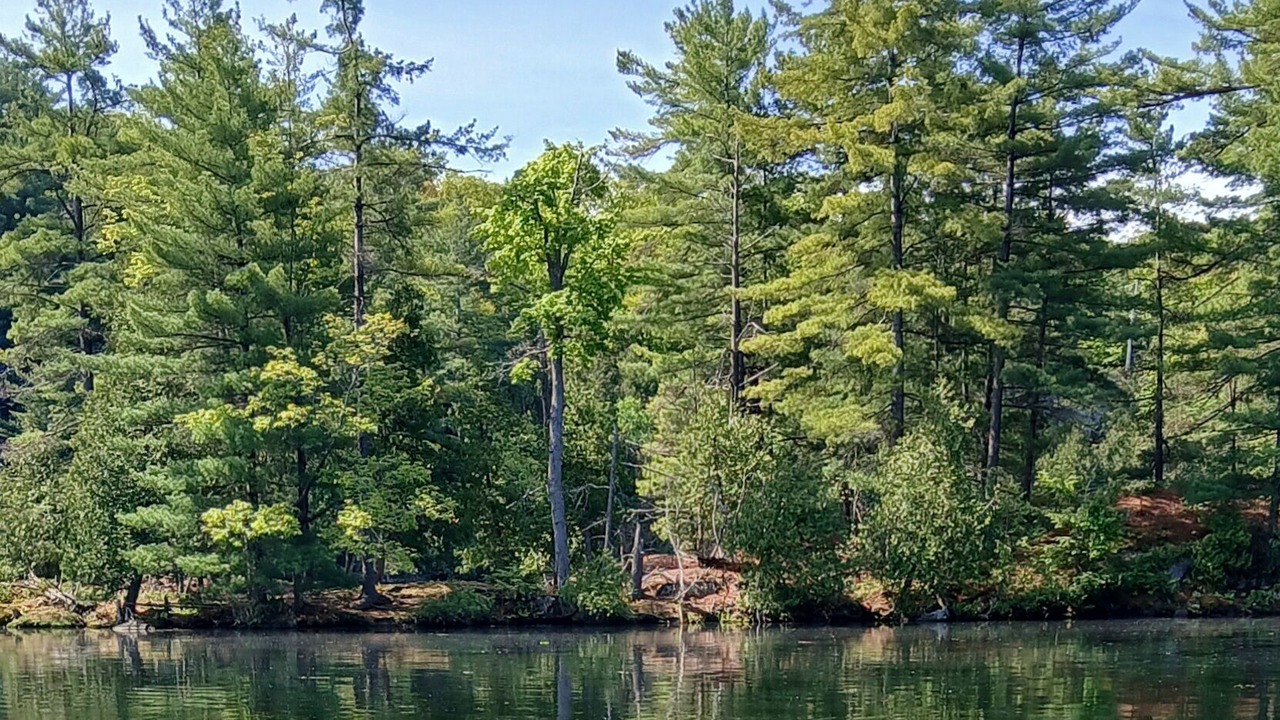 Photo of Outdoor in Rideau Lakes