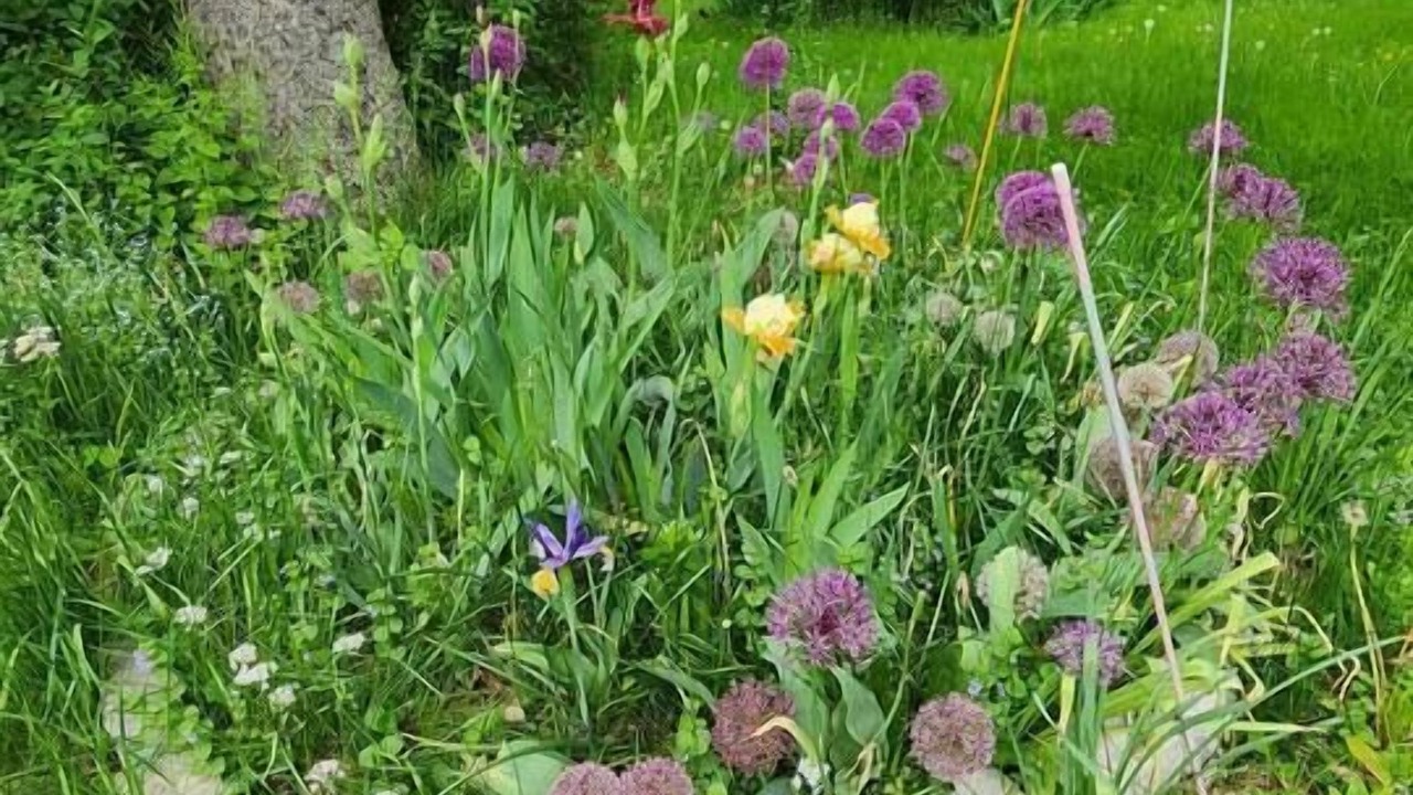 Photo of Outdoor in Montgomery
