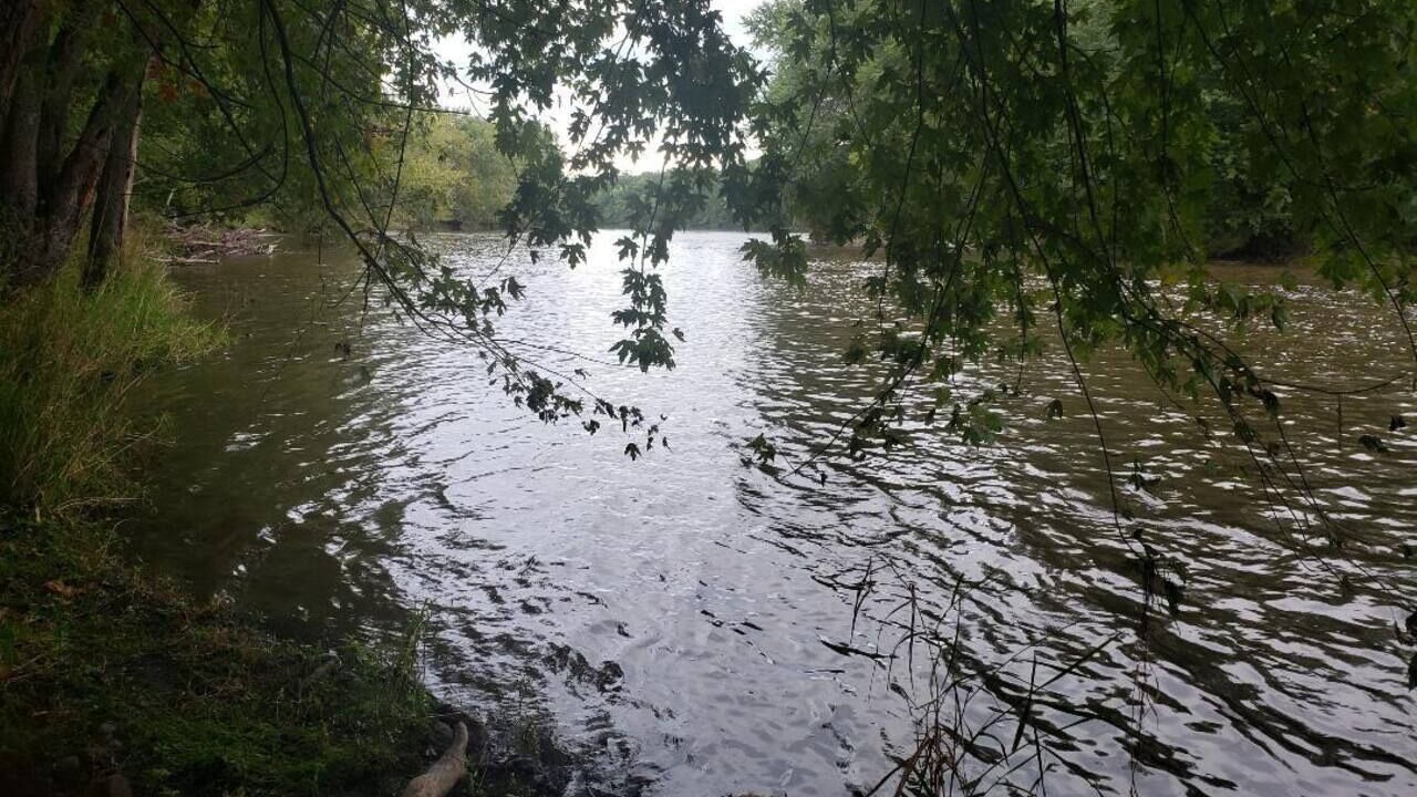 Photo of Others in Montgomery