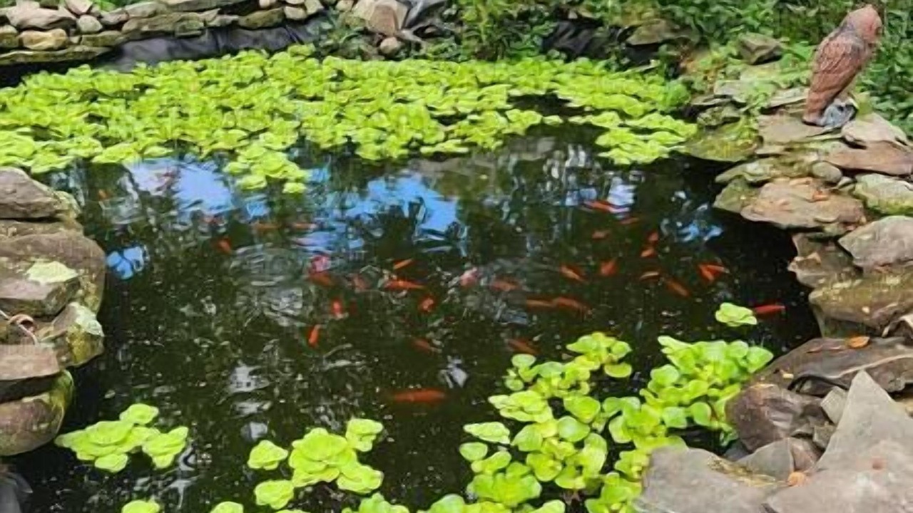 Photo of Outdoor in Montgomery