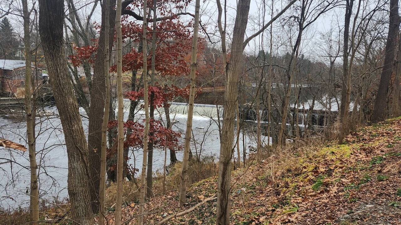 Photo of Others in Montgomery