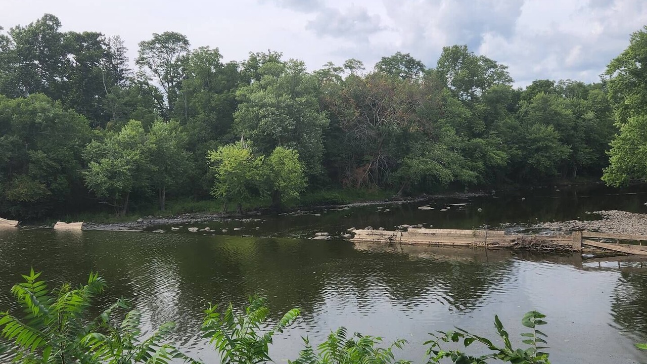 Photo of Others in Montgomery