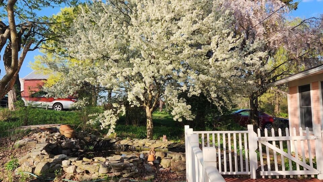 Photo of Outdoor in Montgomery