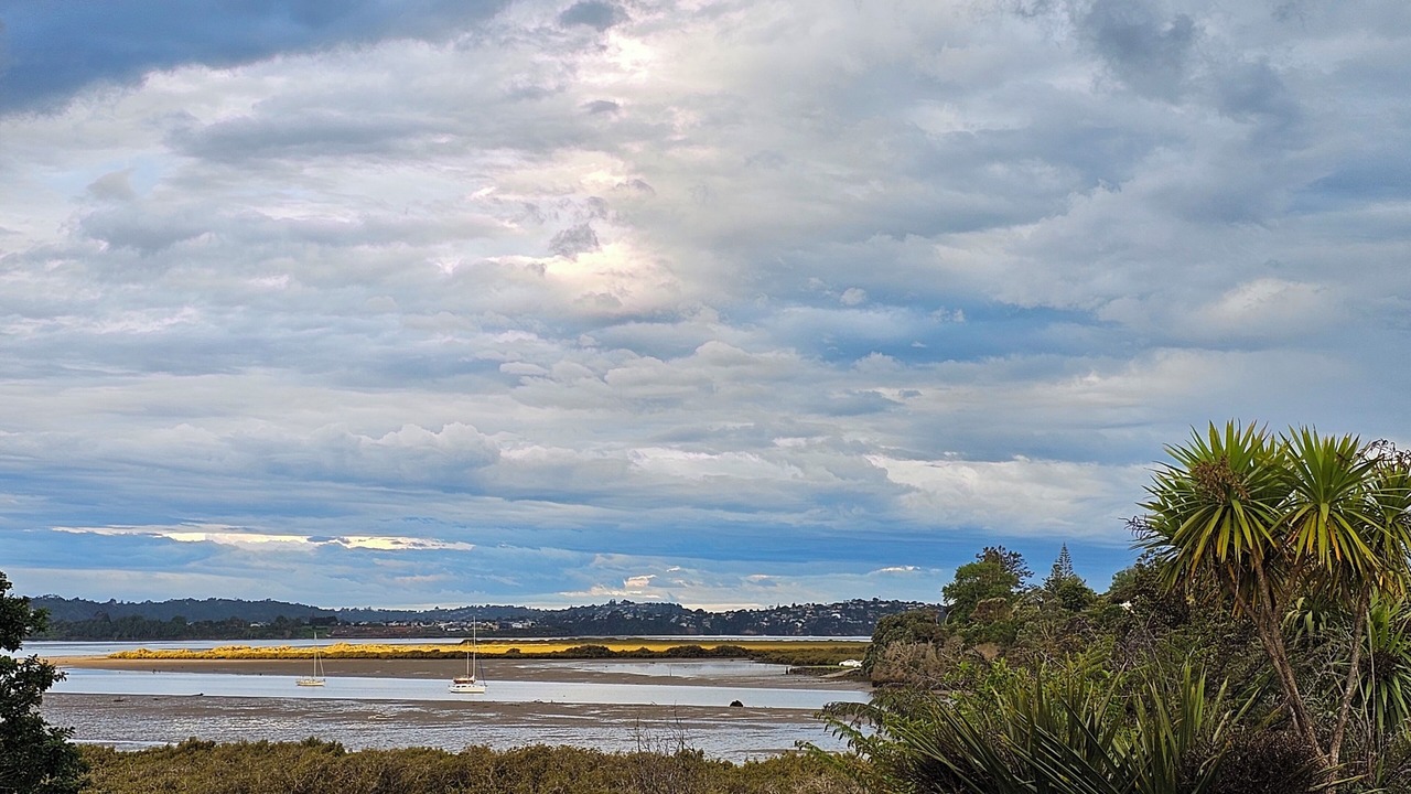 Photo of Others in Massey