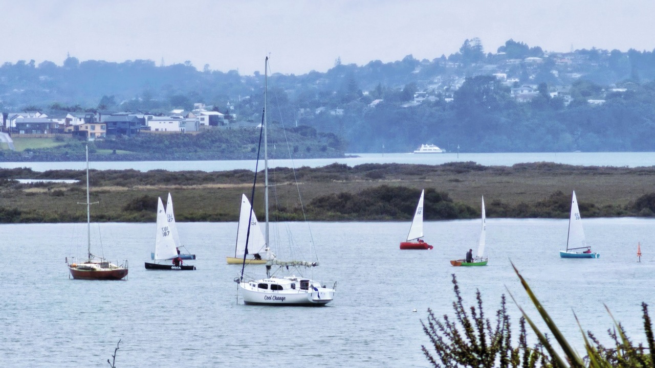 Photo of Others in Massey