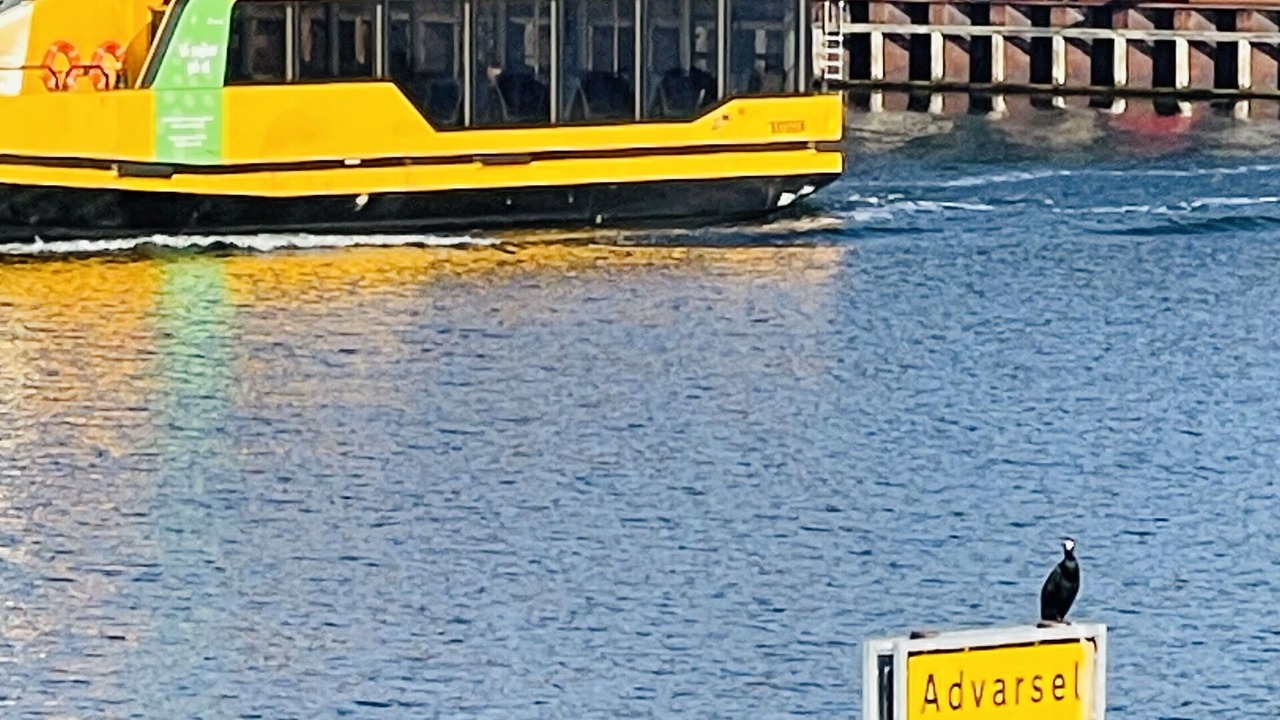 Photo of Outdoor in Sydhavnen
