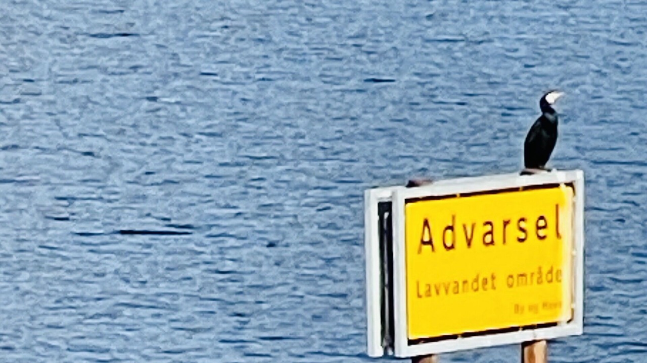 Photo of Outdoor in Sydhavnen