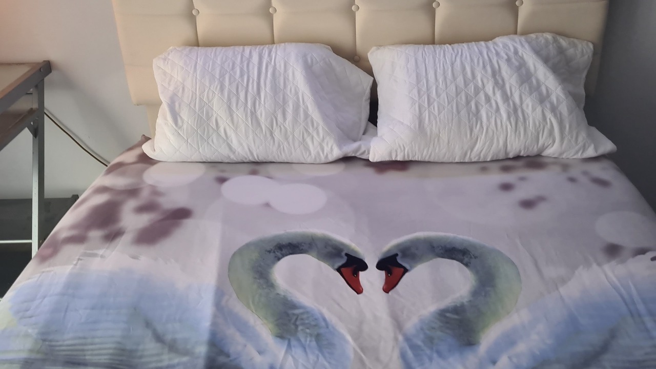 Photo of Bedroom in Carnot