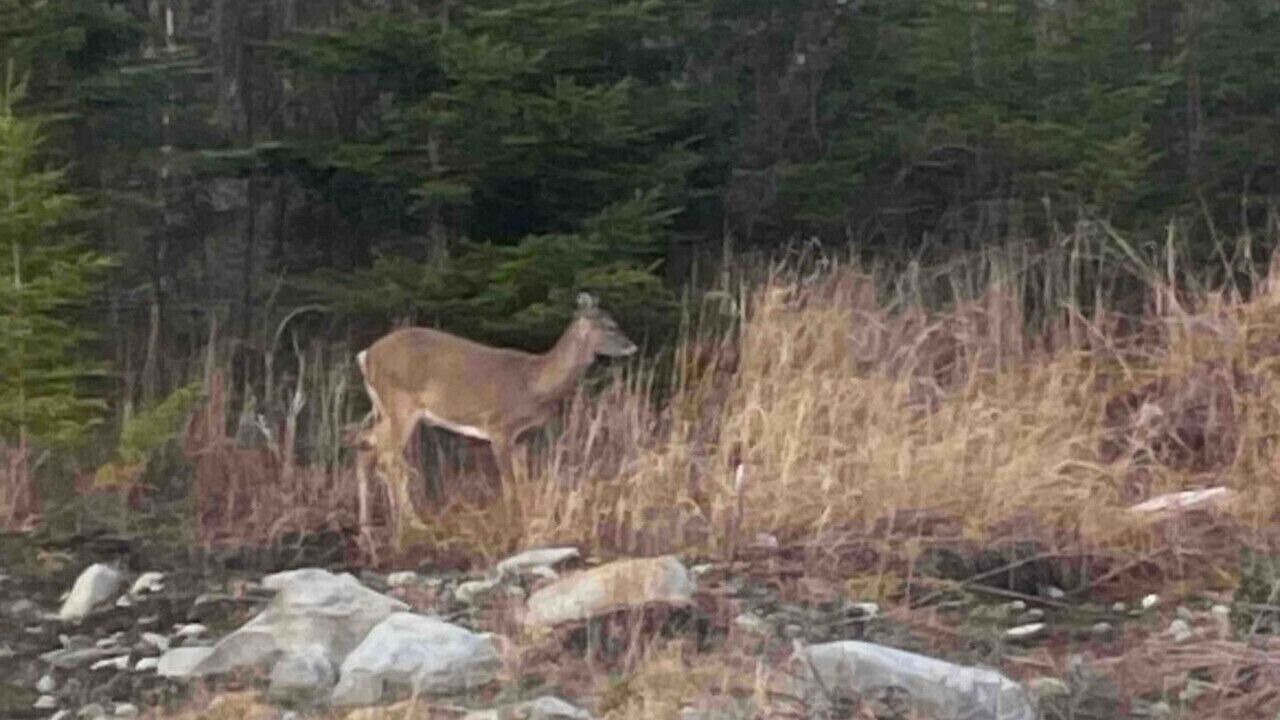 Photo of Others in Queens