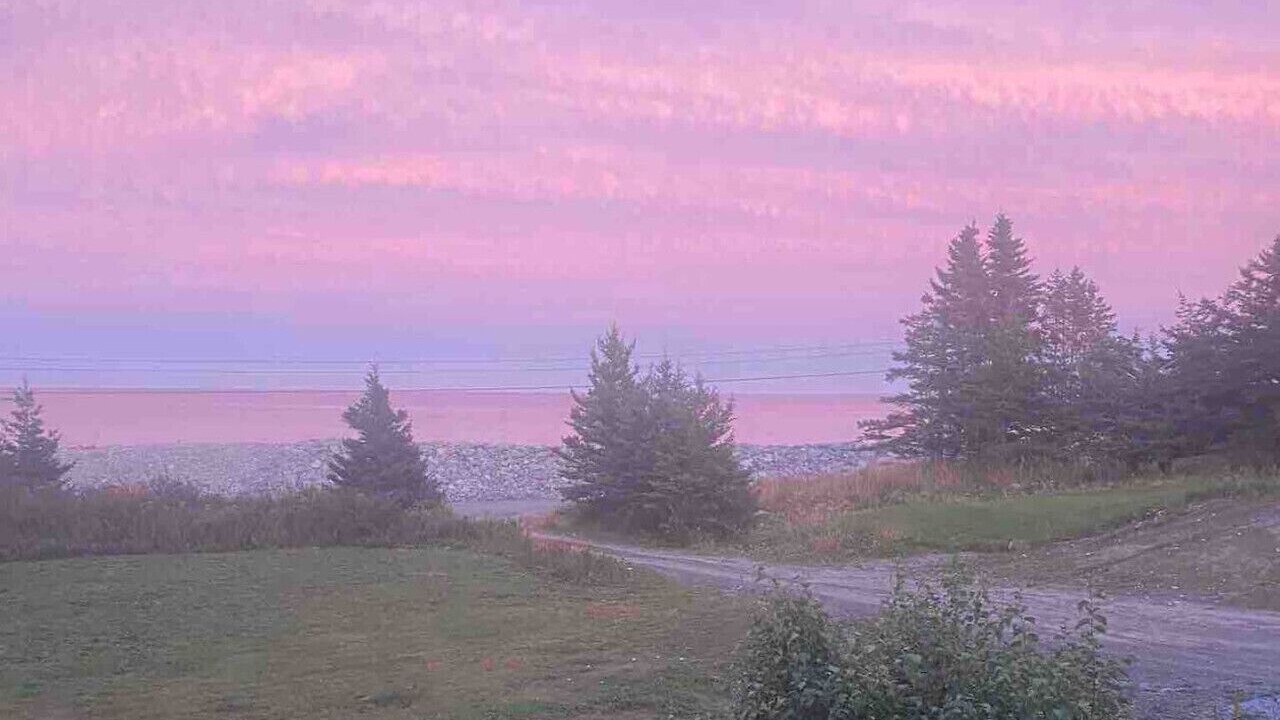 Photo of Others in Queens