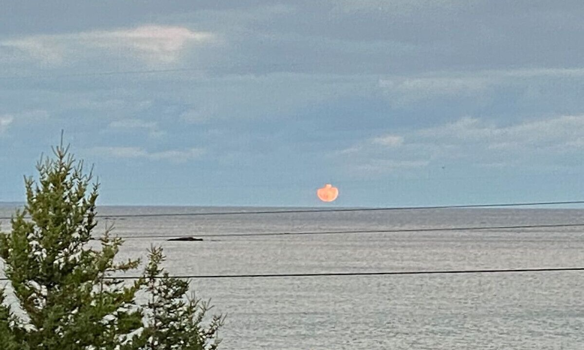 Photo of Others in Queens