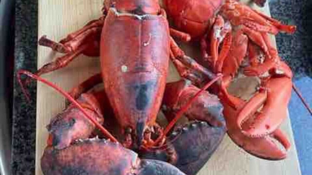 Photo of Others in Queens