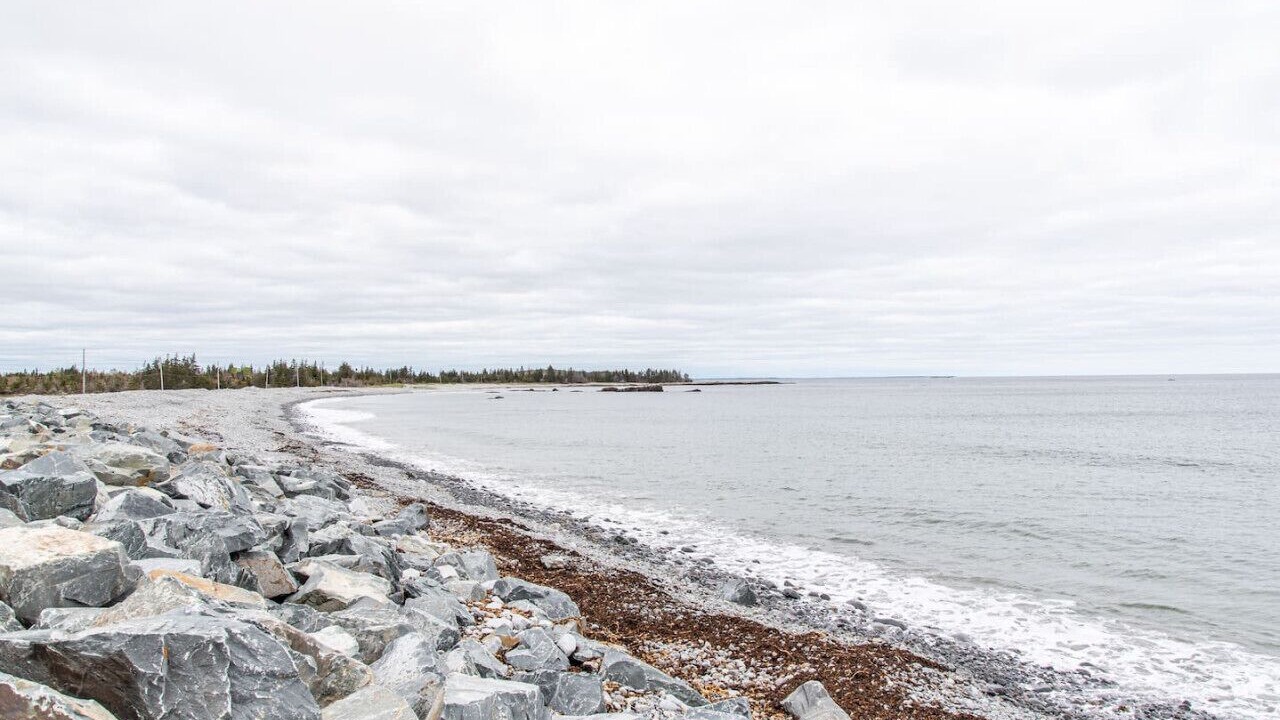 Photo of Others in Queens