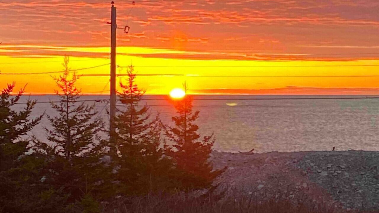 Photo of Others in Queens