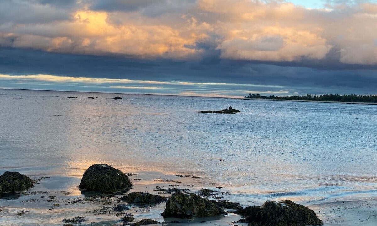 Photo of Others in Queens