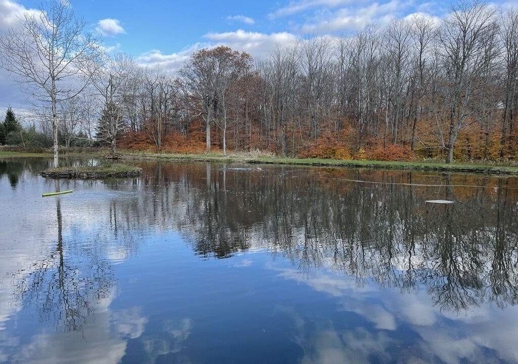Photo of Outdoor in Prattsburgh