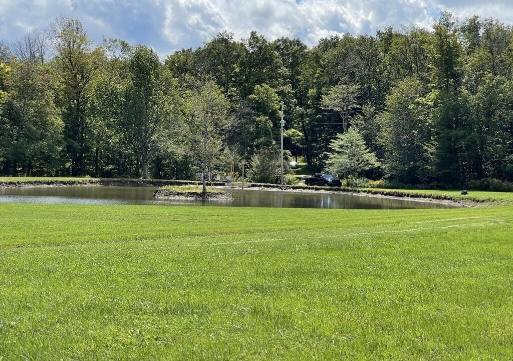 Photo of Others in Prattsburgh