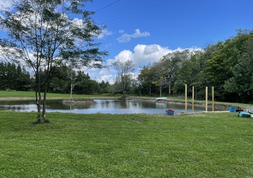Photo of Outdoor in Prattsburgh