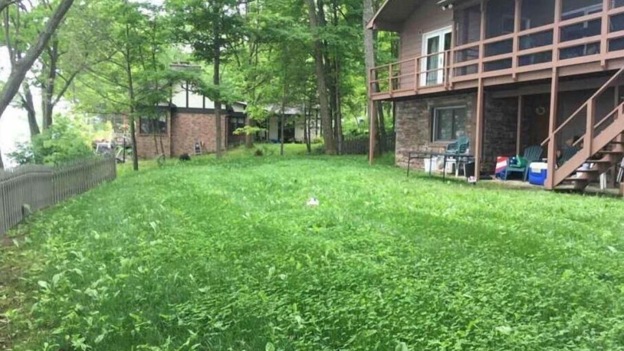 Photo of Outdoor in Ithaca