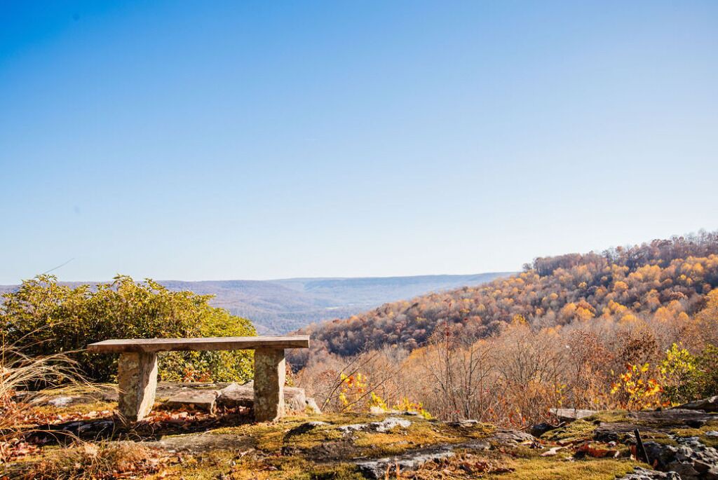 Photo of Others in Sewanee