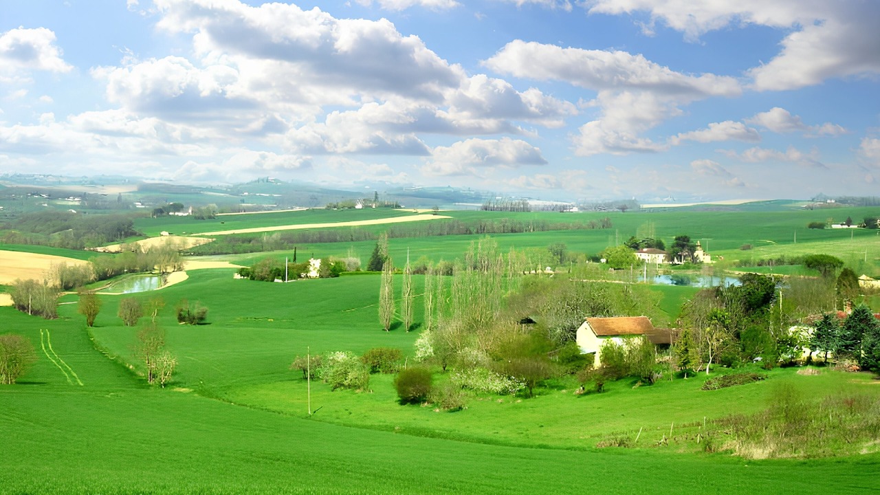 Photo of Others in Larroque-Saint-Sernin