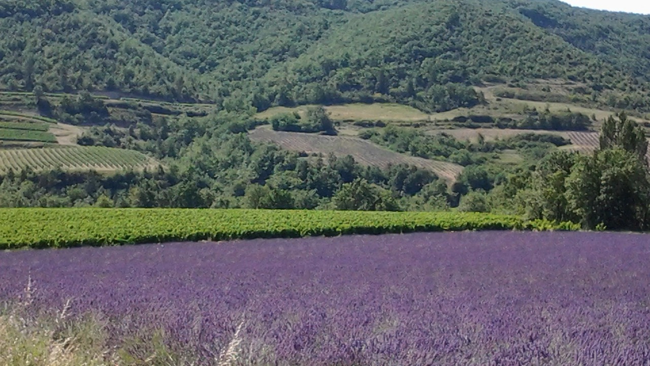 Photo of Others in Valvigneres