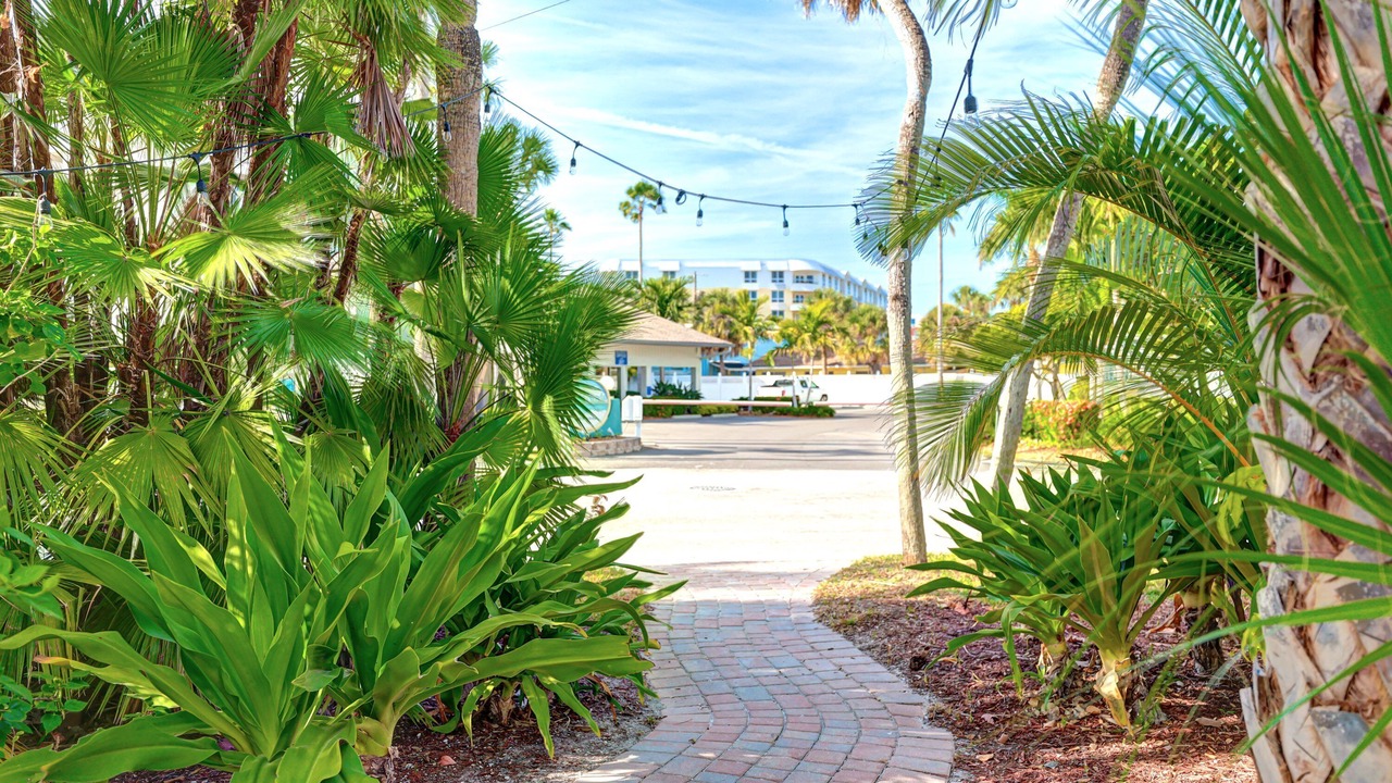Photo of Others in Siesta Key