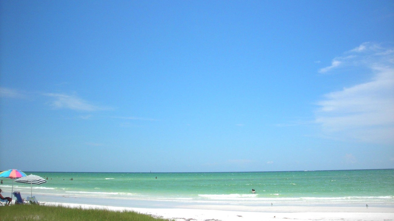 Photo of Others in Siesta Key