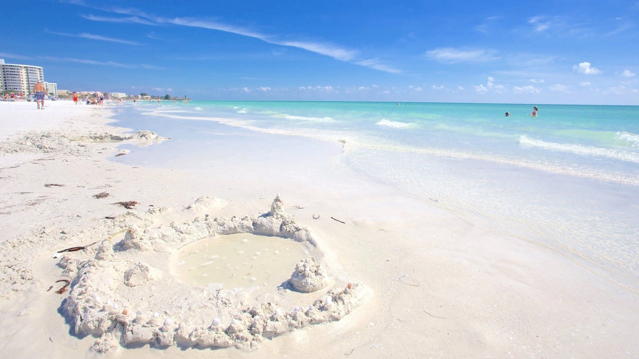 Photo of Others in Siesta Key