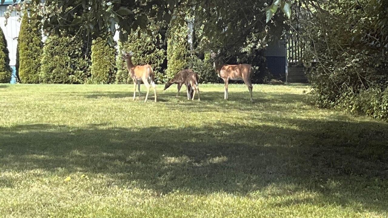 Photo of Others in Newburgh