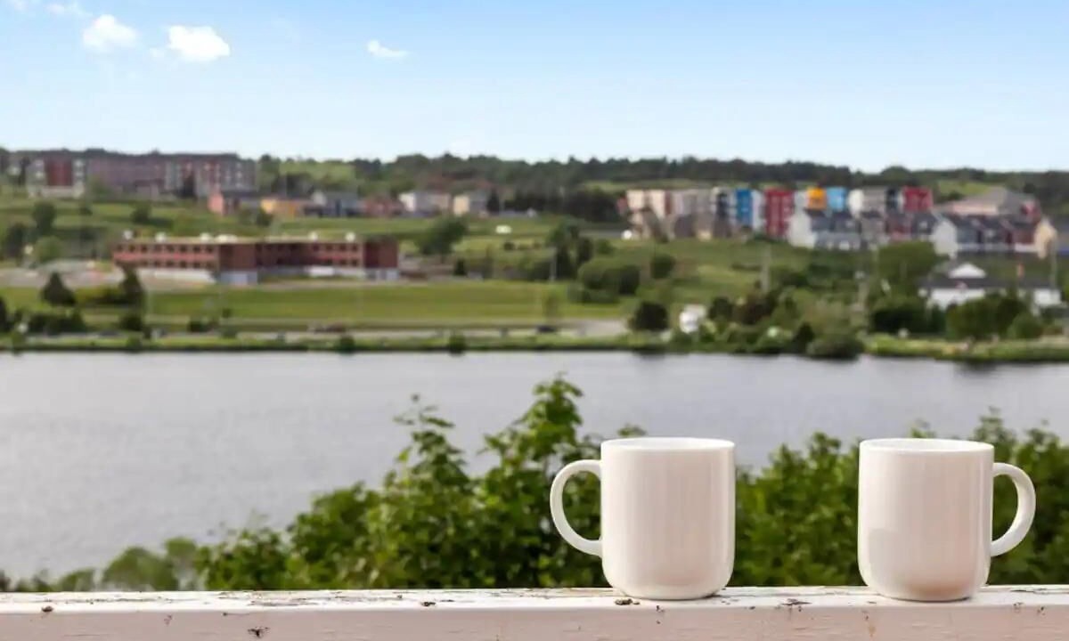 Photo of Others in Quidi Vidi