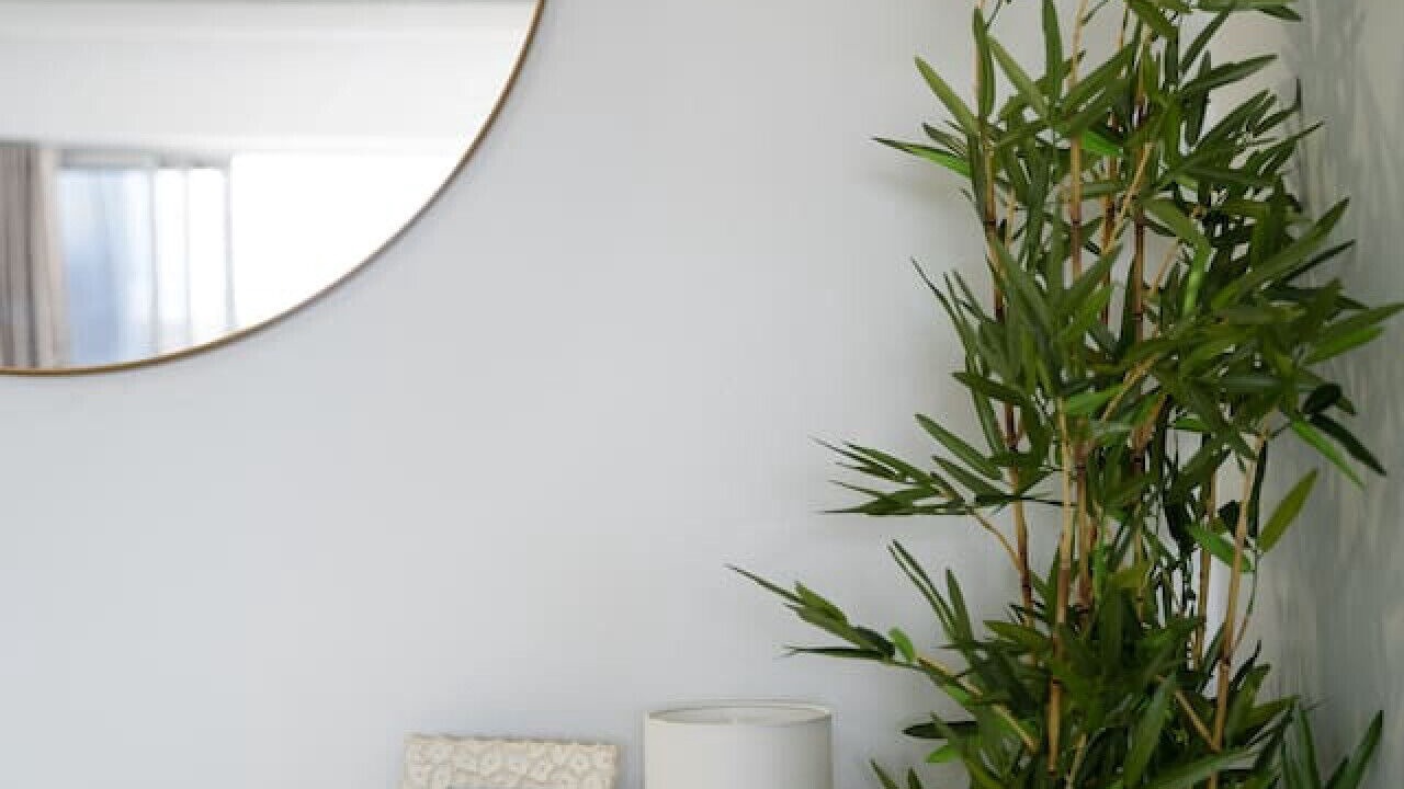 Photo of Others in Burleigh Heads