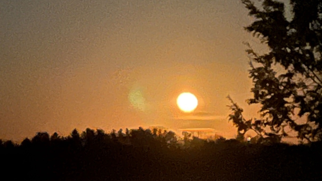 Photo of Others in Nestleton