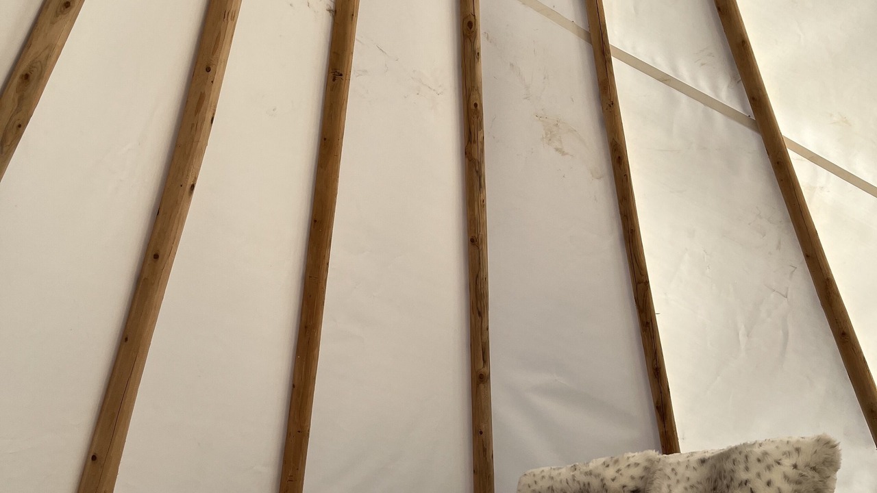 Photo of Others in Nestleton