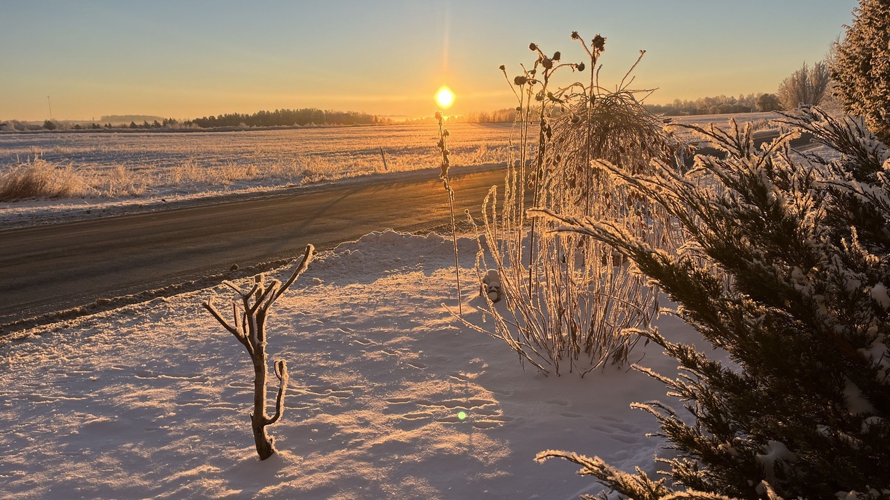 Photo of Others in Nestleton