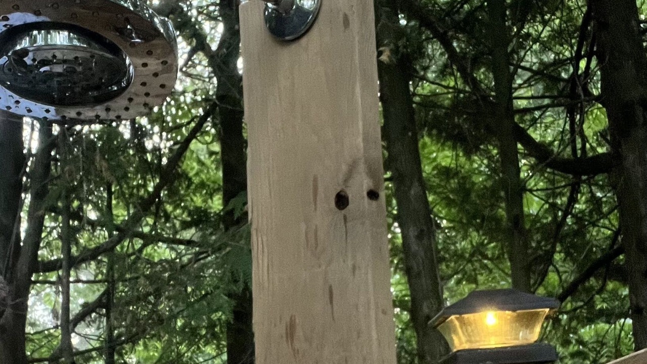 Photo of Others in Nestleton