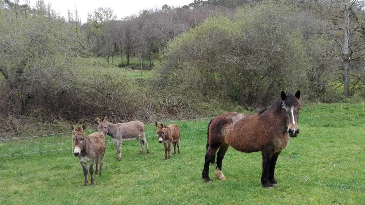 Photo of Others in La Masse