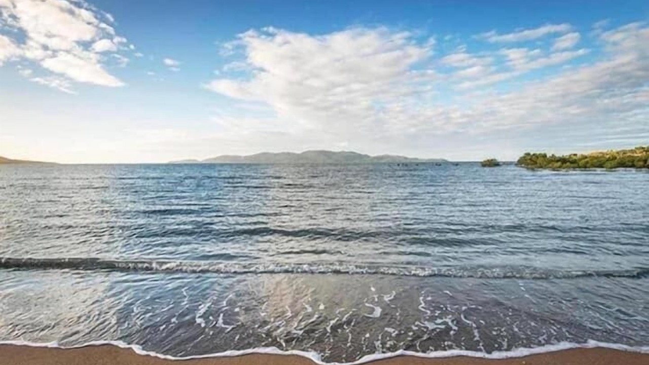 Photo of Others in Belgian Gardens