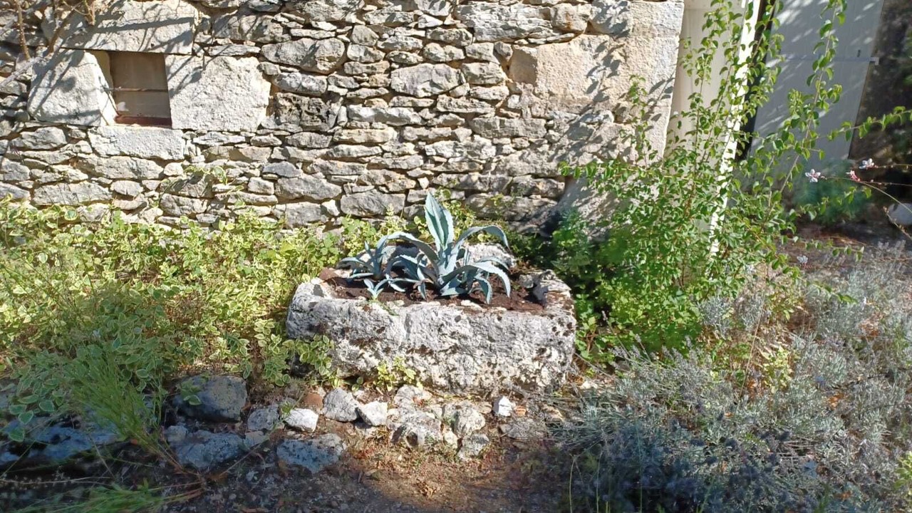 Photo of Outdoor in Serignac
