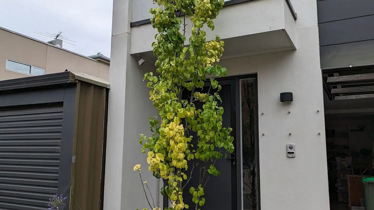 Photo of Outdoor in Norwood