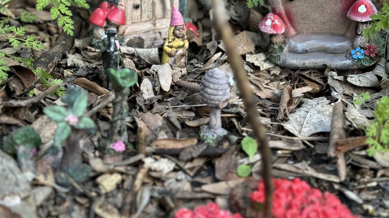 Photo of Outdoor in Gordonville
