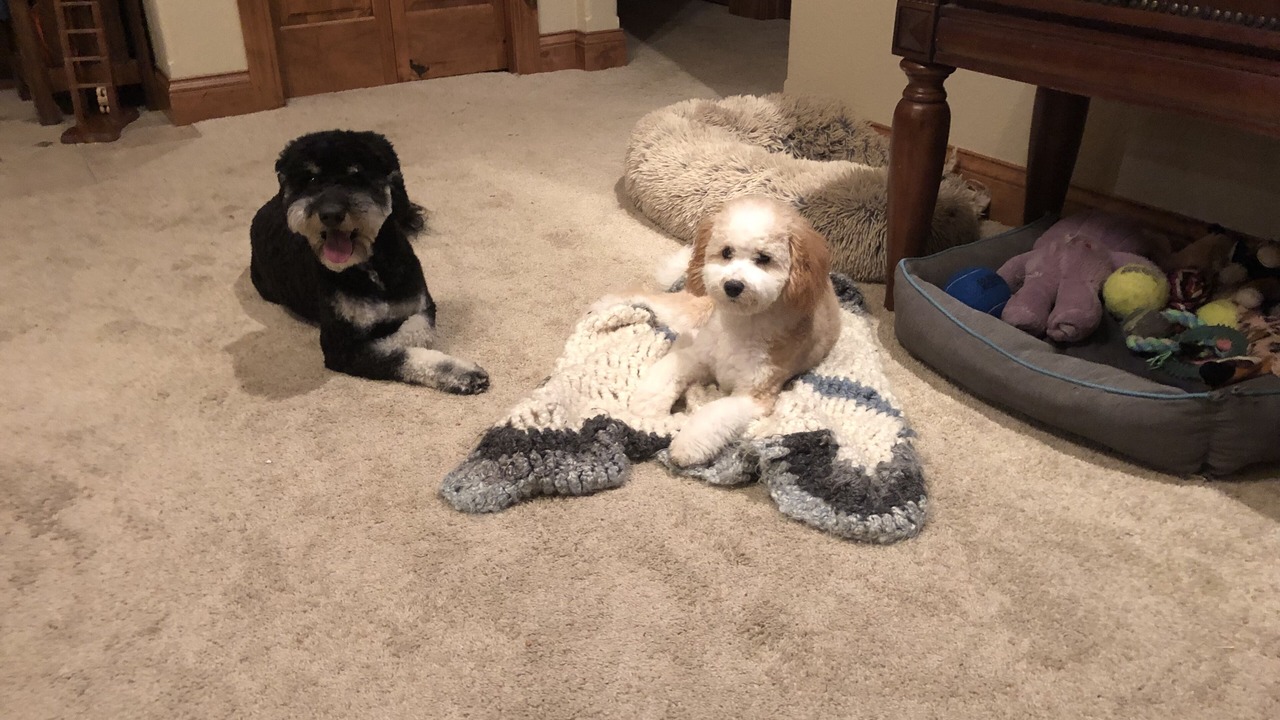 Photo of Others in Gillette