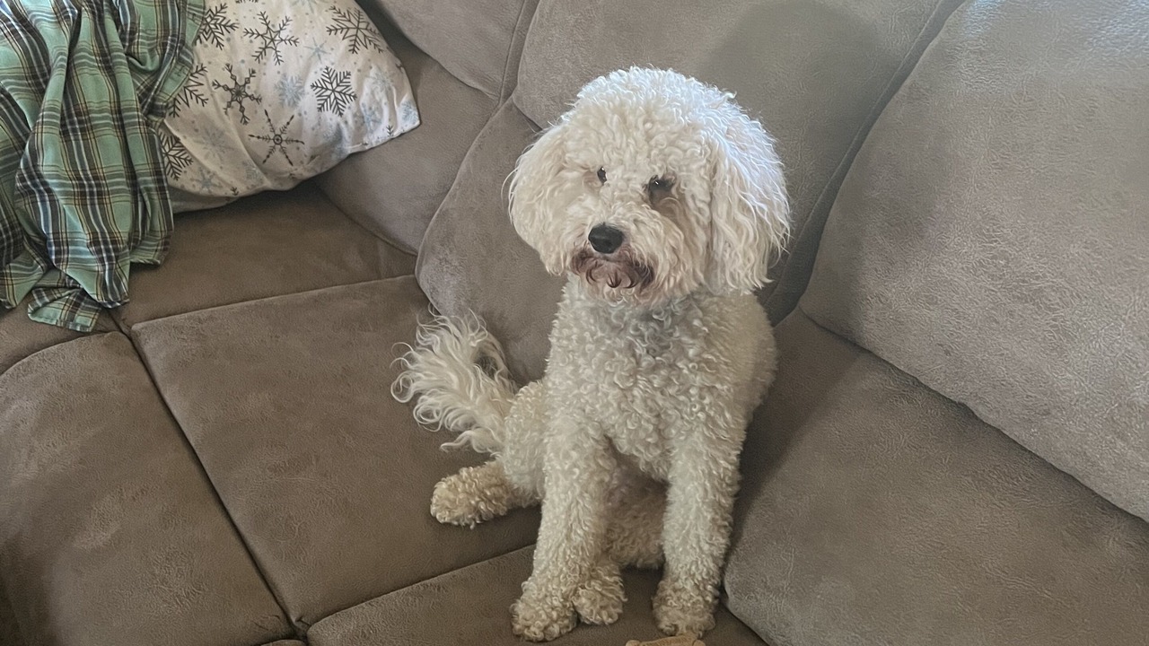 Photo of Others in Gillette