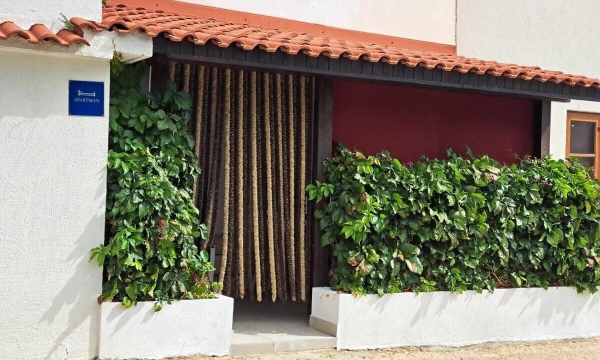 Photo of Outdoor in Draga Bascanska