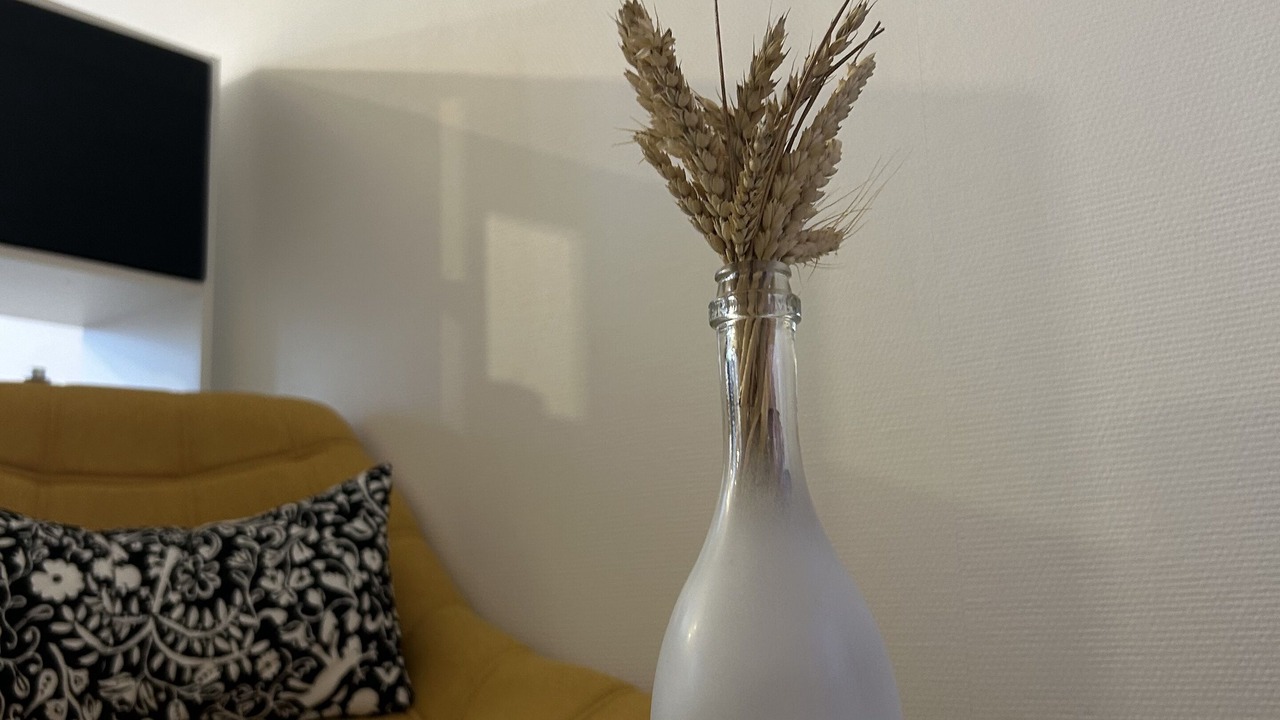 Photo of Others in Troyes