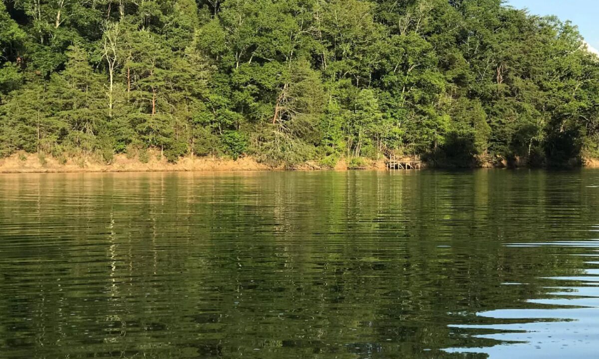 Photo of Others in Dandridge